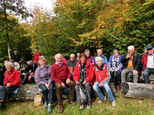 Hohe Warte_11102015 (Medium) Hohe Warte_11102015 (Medium)