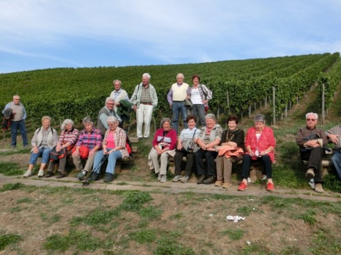 Wanderung_Rüdern_03102015 (Medium) Wanderung_Rüdern_03102015 (Medium)