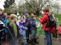 Leckeres_aus_Wildkraeutern_17042016 (2) (Medium) Leckeres_aus_Wildkraeutern_17042016 (2) (Medium)