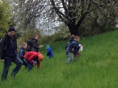 Leckeres_aus_Wildkraeutern_17042016 (6) (Medium) Leckeres_aus_Wildkraeutern_17042016 (6) (Medium)