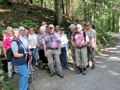 Wanderung Hörschbachschlucht_17072016 (Medium)